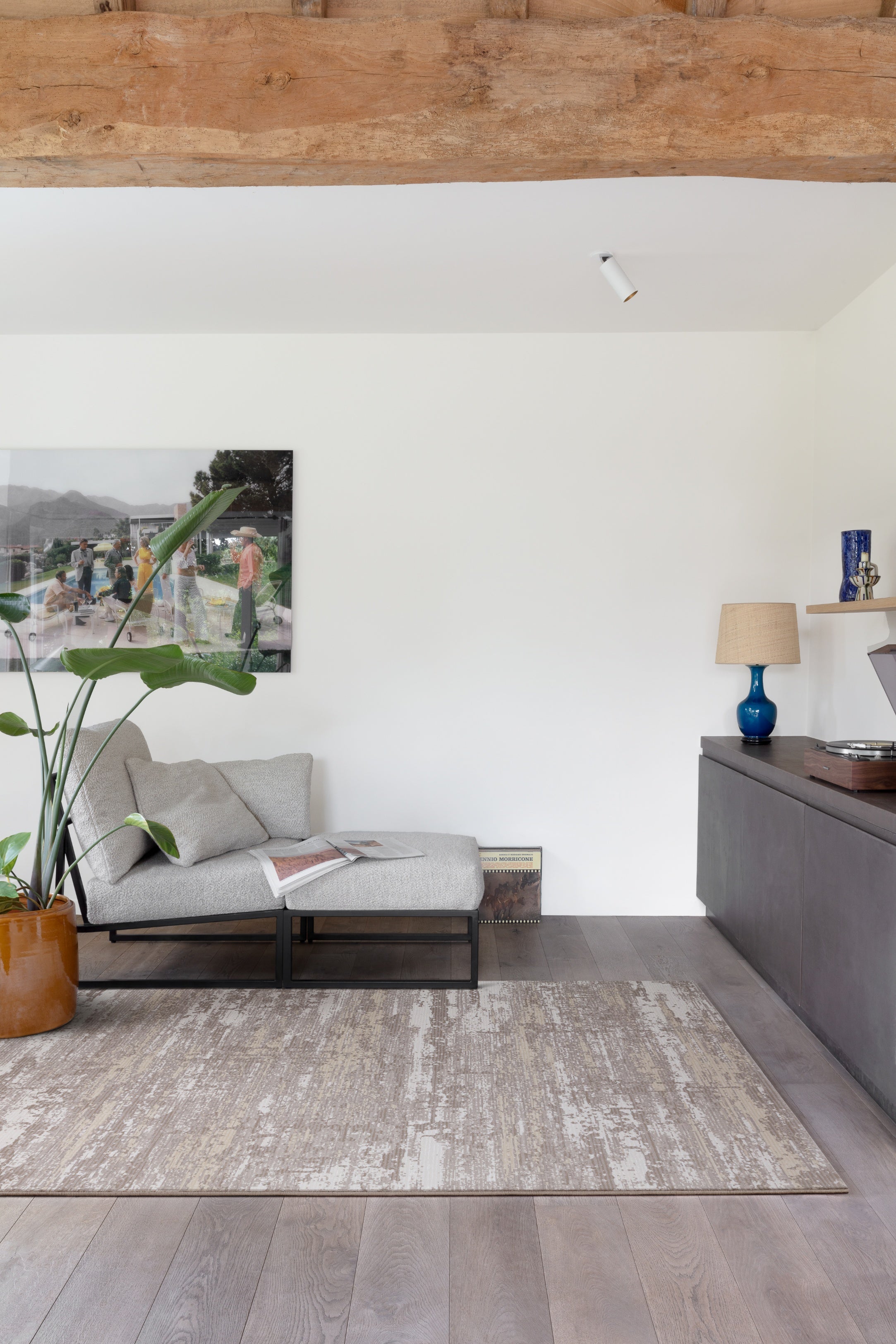 SAVANA