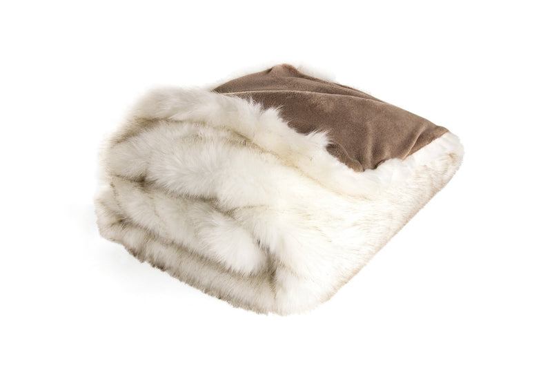 Ivory | FEEL